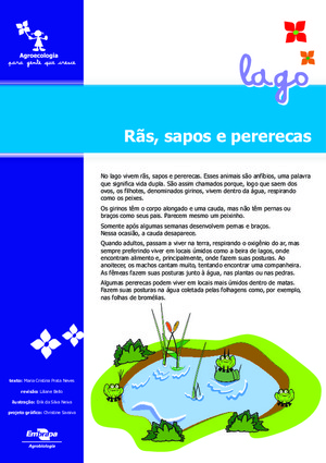 Anfíbios